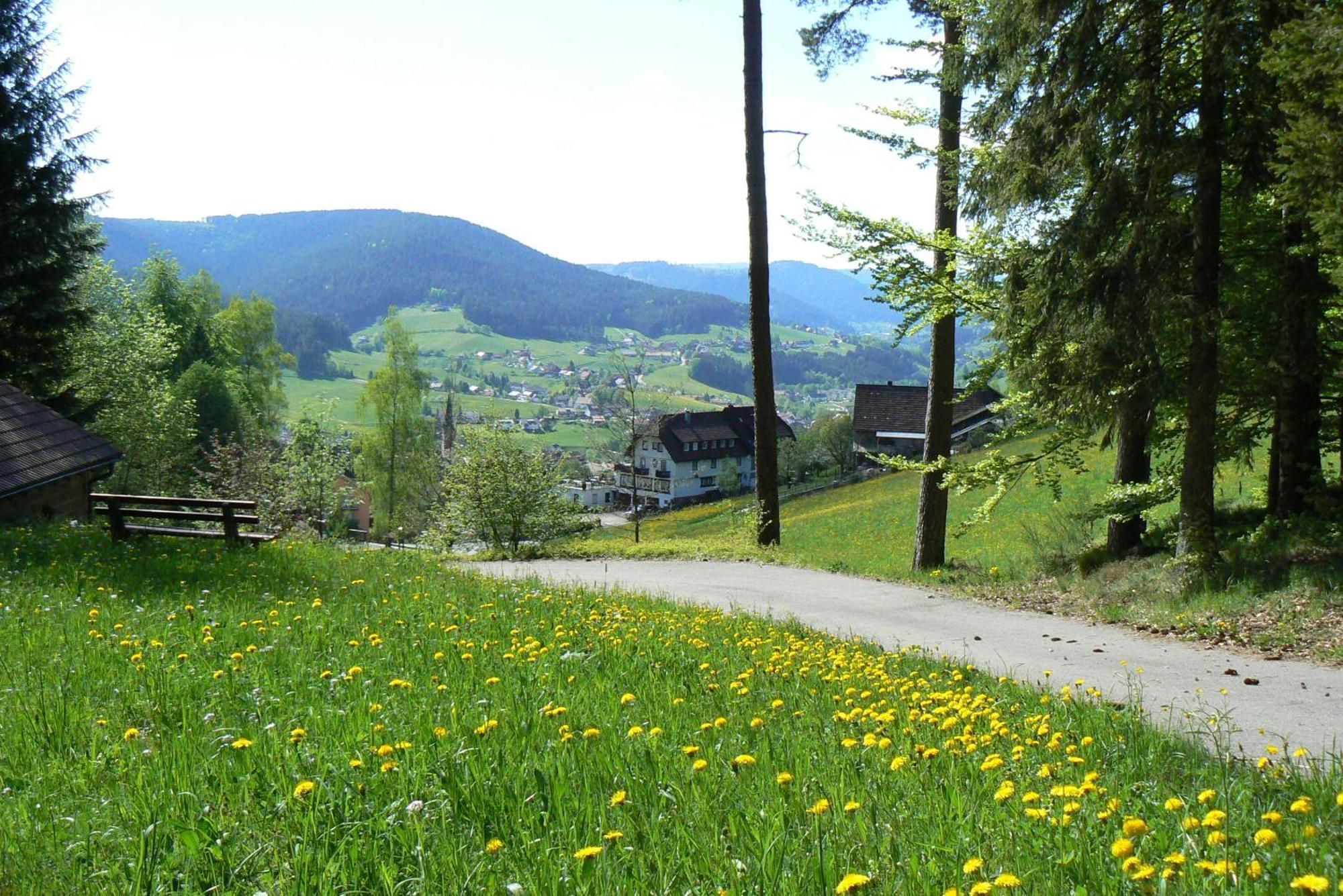 Pension Talblick Baiersbronn Exterior foto